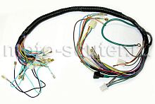 Проводка центральная мопед Дельта, Альфа, Орион TMMP