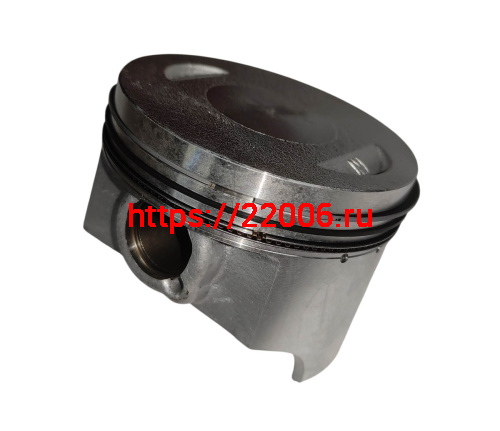 Поршень в сборе SHINERAY  VJ250 169YMM (кольца, палец, стопорн. кольца) (смотри каталог) фото 2