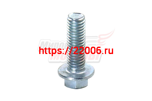 Болт редуктора М8*25 LIFAN 168F, 168F-2 в сборе, с автоматическим сцеплением 1:2 Болт редуктора М8*25 LIFAN 168F, 168F-2 в сборе, с автоматическим сцеплением 1:2