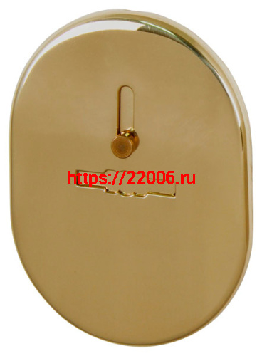 Накладка Fuaro (Фуаро) на сувальдный замок ESC.S-lift.SF/OV.476 (ESC 476) с шторкой GP латунь Накладка Fuaro (Фуаро) на сувальдный замок ESC.S-lift.SF/OV.476 (ESC 476) с шторкой GP латунь