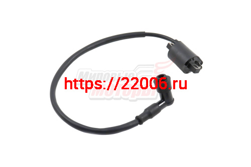Катушка зажигания в сборе с в/в колпачком трицикл WM250ZH-2