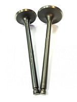 Клапана ГБЦ 166FMM TTR250 (CB250) впускной 32, выпускной 27(2 шт)