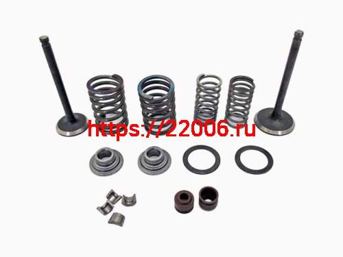 Ремкомплект головки YX140 (пружины, тарелки, сухари, клапана, маслосъемные колпачки) Ремкомплект головки YX140 (пружины, тарелки, сухари, клапана, маслосъемные колпачки)